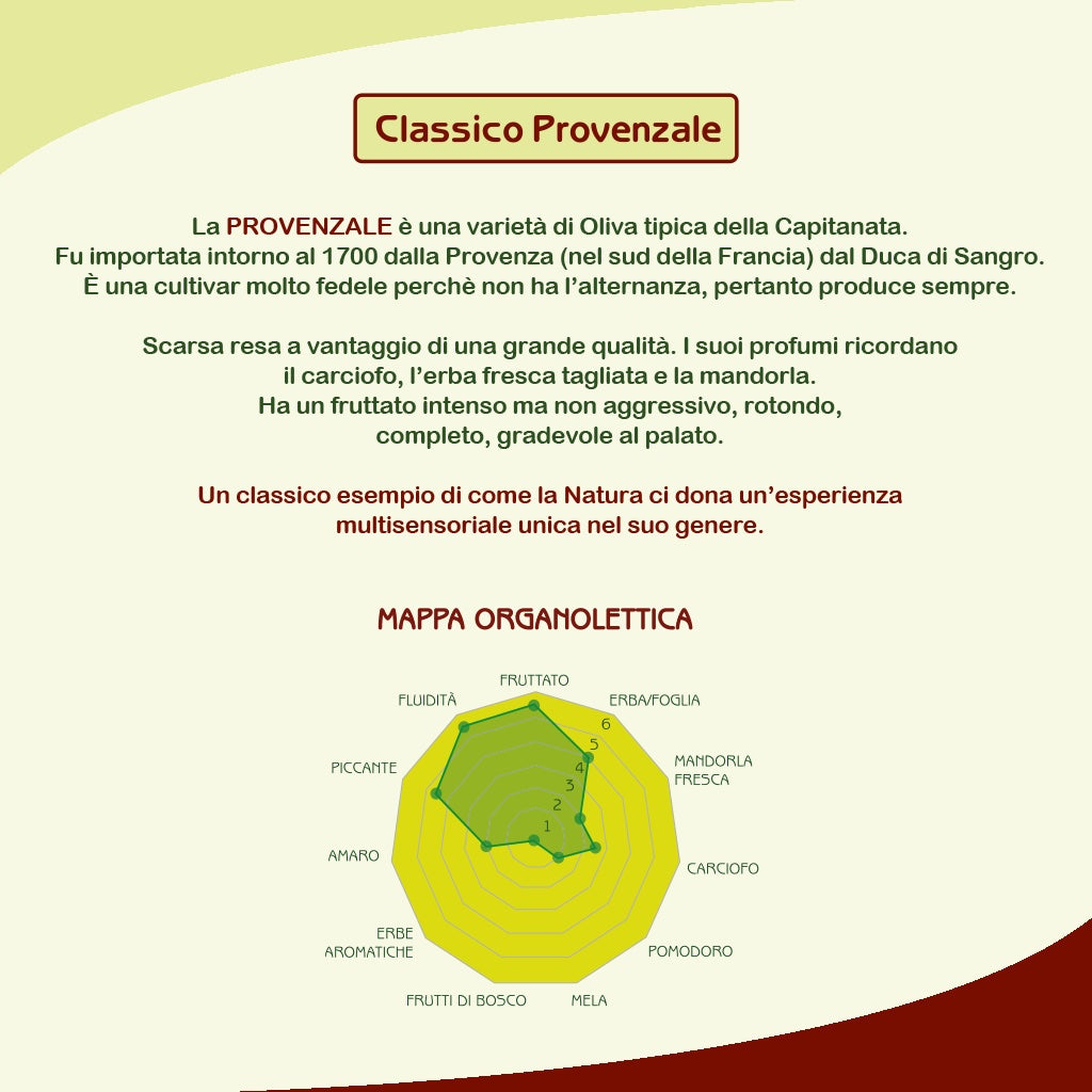 Olio Extravergine di Oliva Classico Provenzale in Lattina da 3 litri