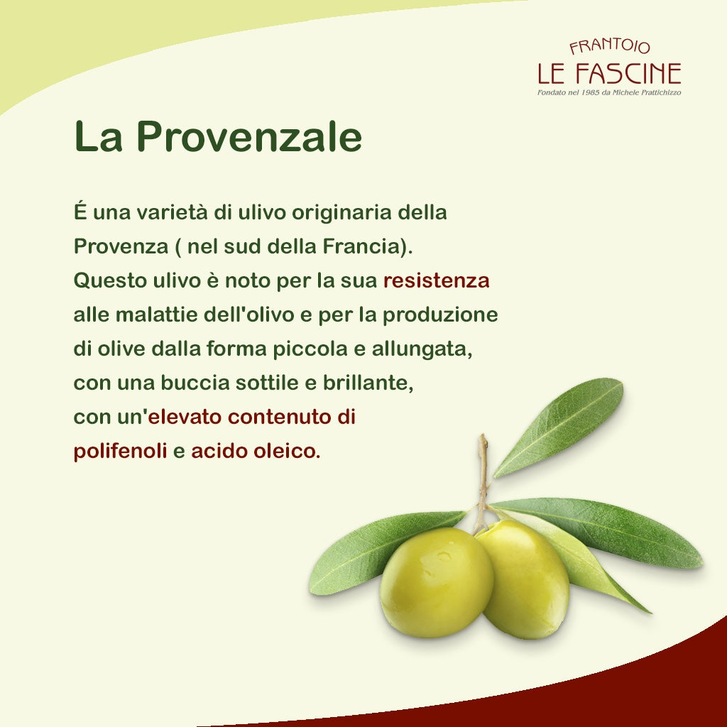 Olio Extravergine di Oliva Classico Provenzale in Lattina da 3 litri