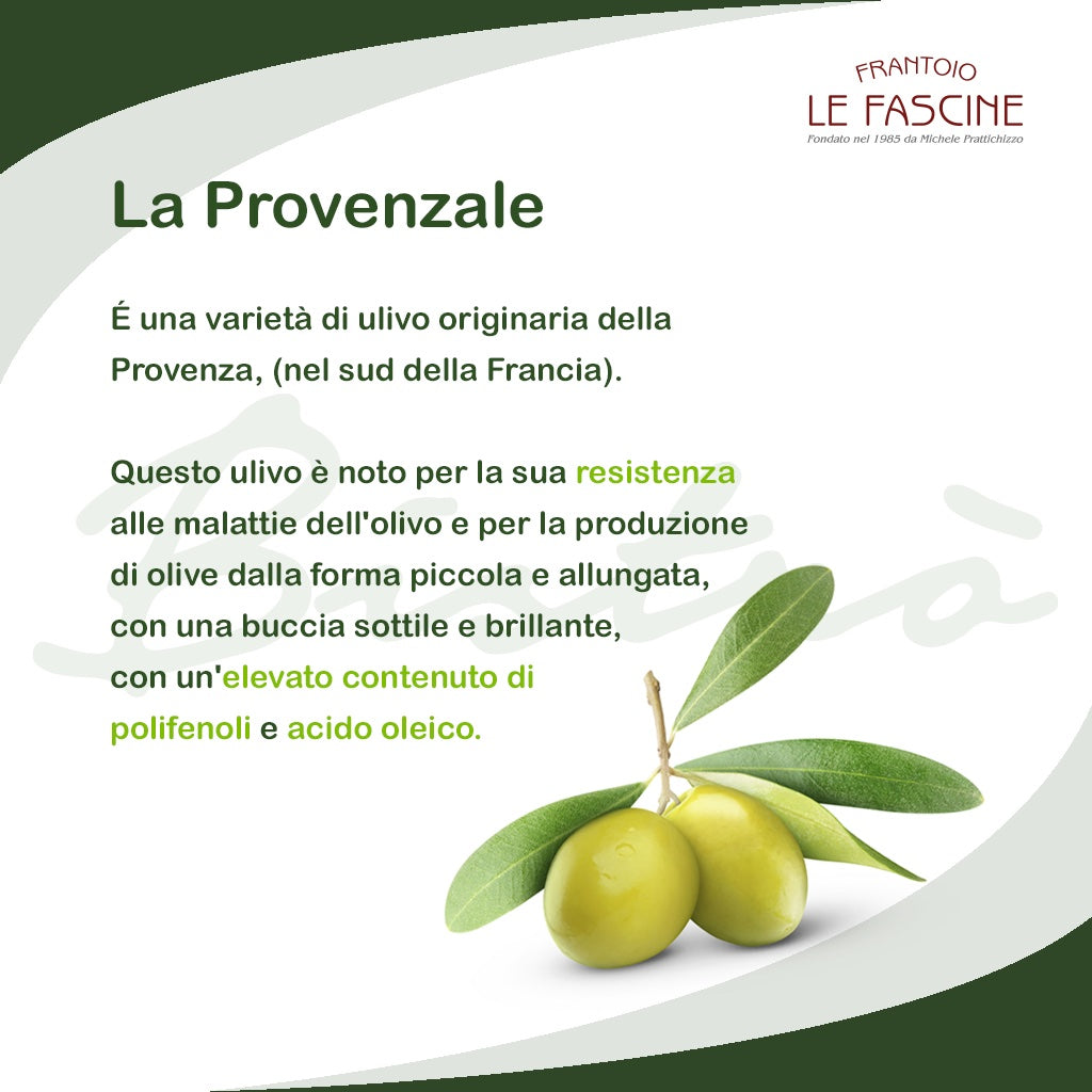 Olio Extravergine Di Oliva “Bistrò” In Lattina da 3 Litri