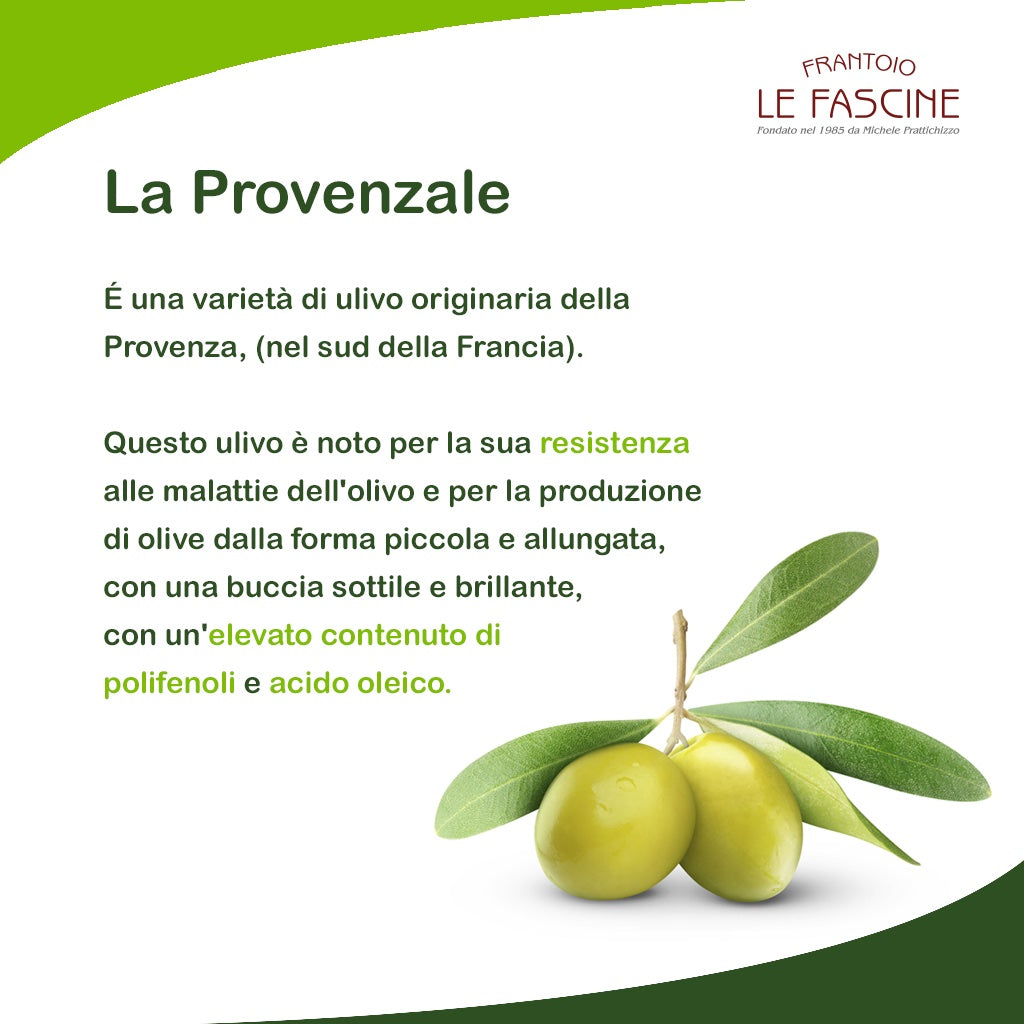 Organic Extra Virgin Olive Oil in 3 Litre Can