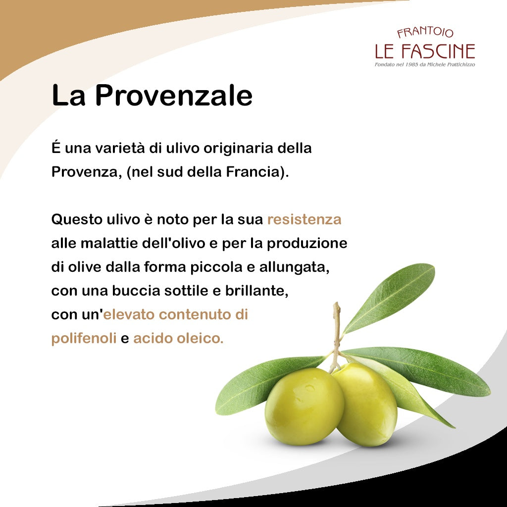Olio Extravergine di Oliva “RISERVA ORO” in lattina da 5 litri