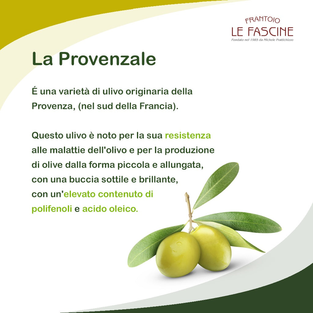 Extra Virgin Olive Oil “Blend Delì” in 6 Bottles of 750 ml