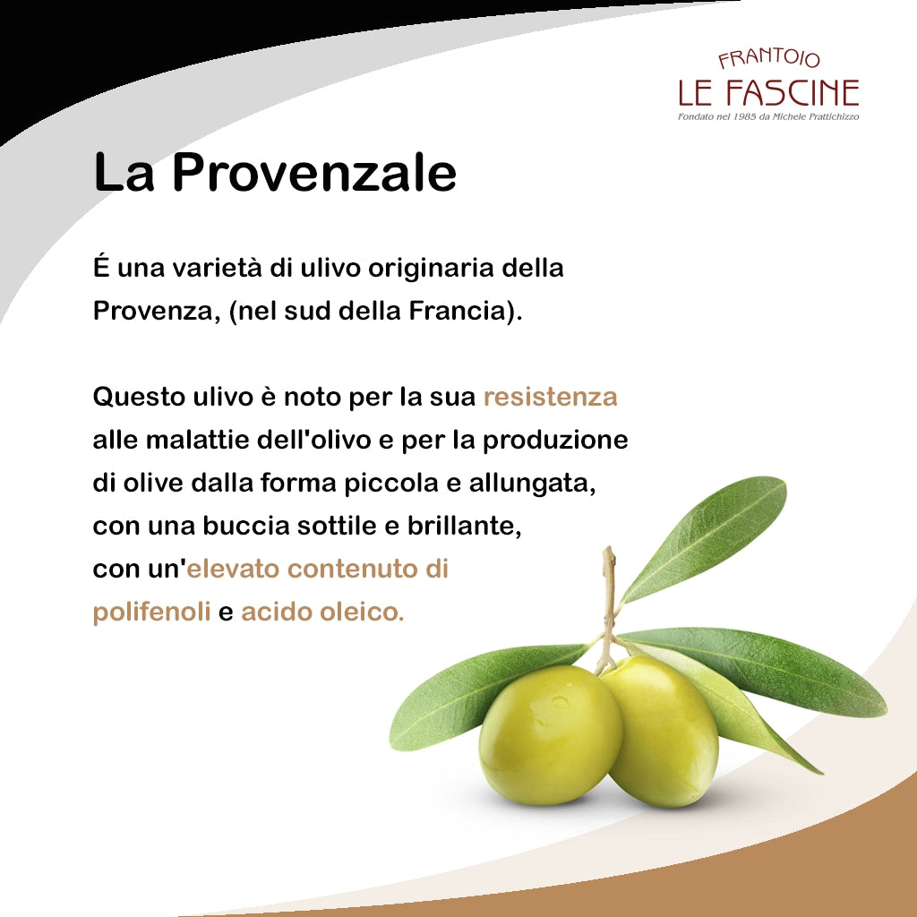 Olio Extravergine Di Oliva “Riserva ORO” in Bag In Box da 3 Litri