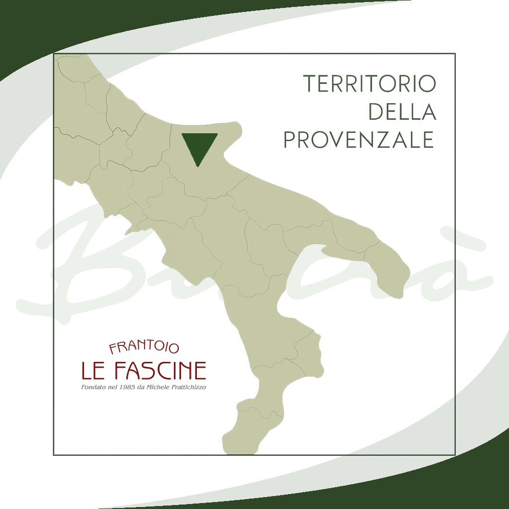Olio Extravergine Di Oliva “Bistrò” In Lattina da 1 Litro