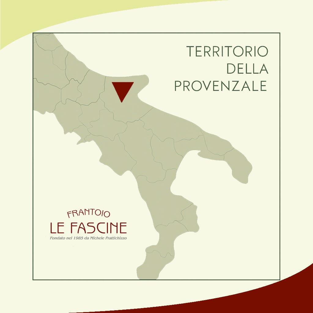 Extra Virgin Olive Oil “Classico Provenzale” in 3 Litre Bag In Box
