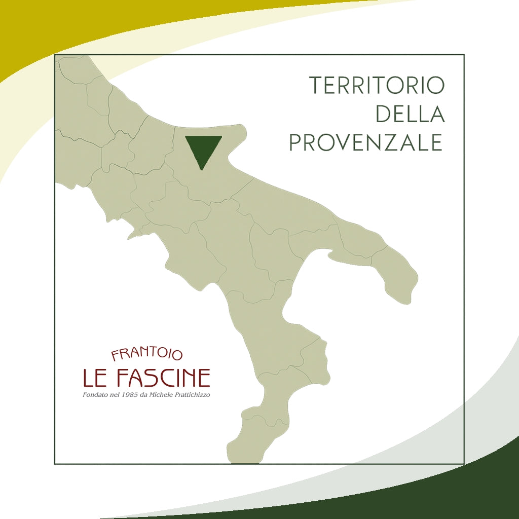 Olio Extravergine Di Oliva “Blend Delì” in Bag In Box da 3 Litri