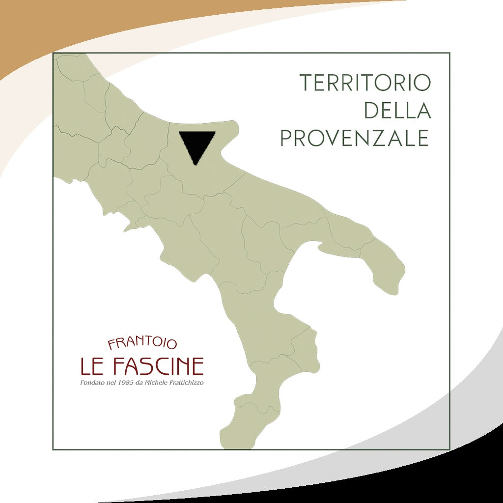 Olio Extravergine di Oliva “RISERVA ORO” in lattina da 5 litri