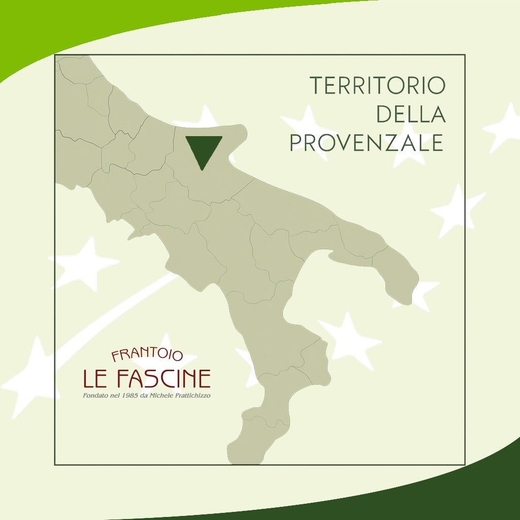 Olio Extravergine Di Oliva “Biologico” in Bag In Box da 3 Litri